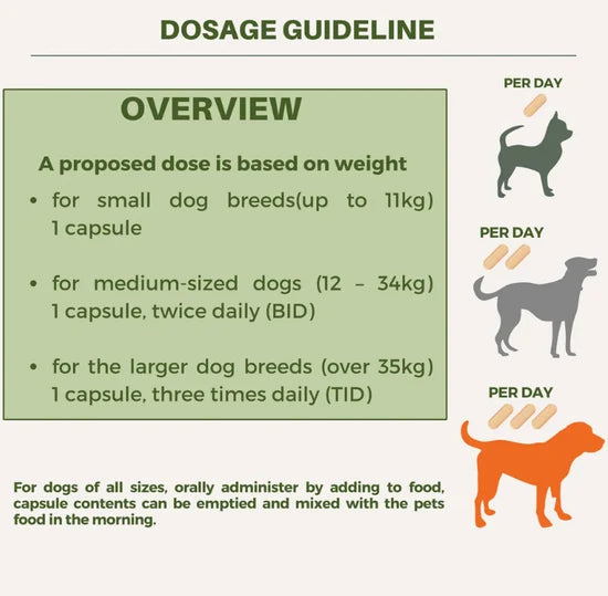 Lupostrol Premium Supplement for Dogs
