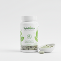 XyloBiotics